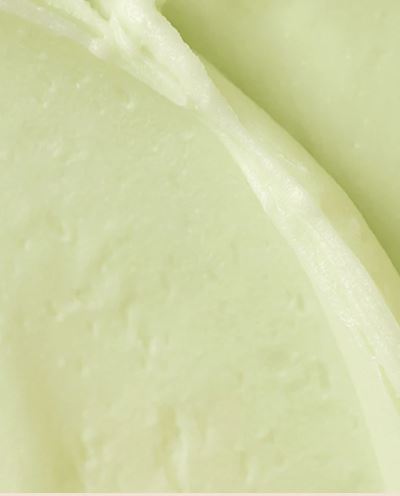 Matte Sun Stick : Mugwort+Camelia (SPF 50+ PA++++)